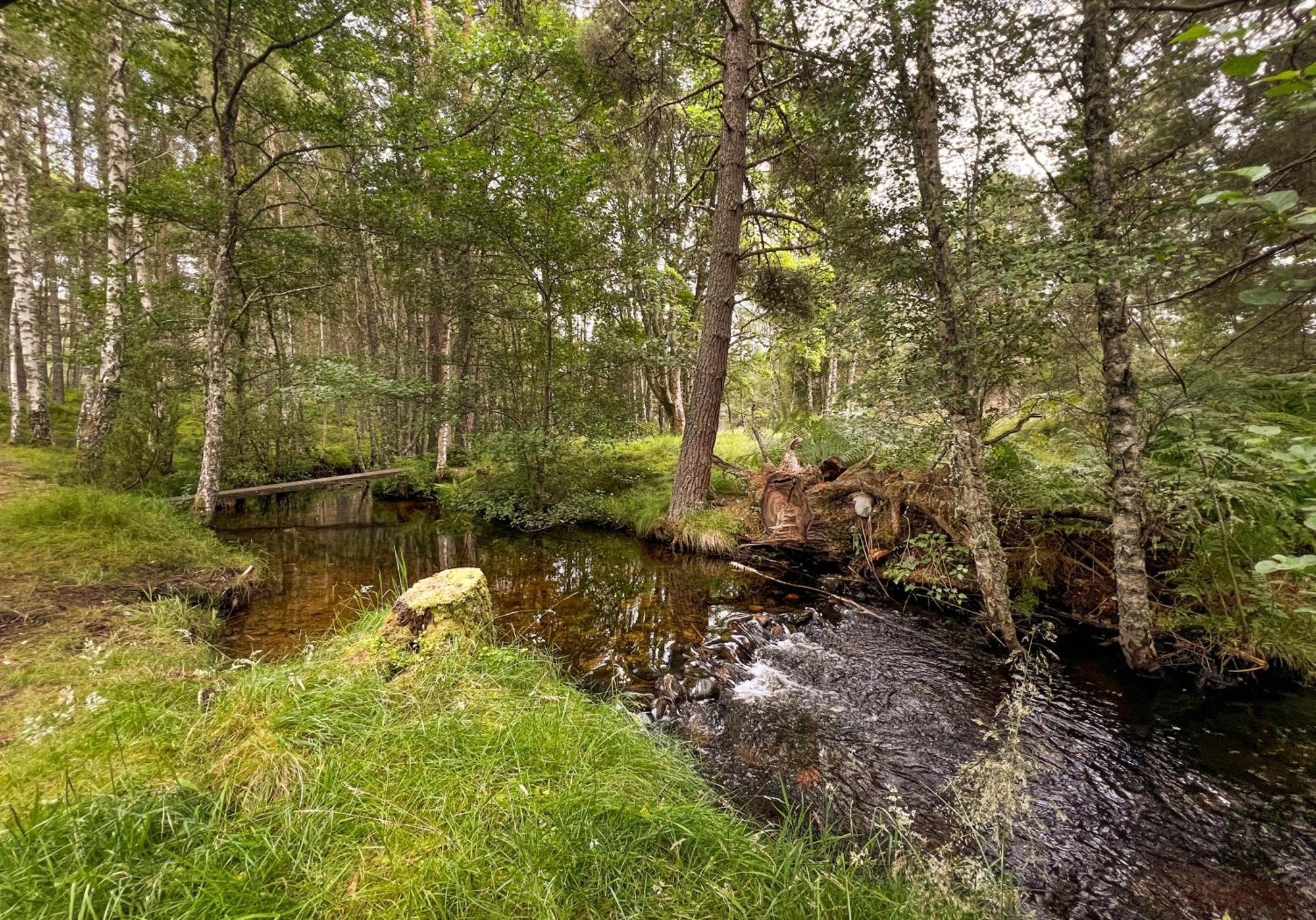 Cairngorm Lodge Rothiemurchus Aviemore Exteriér fotografie